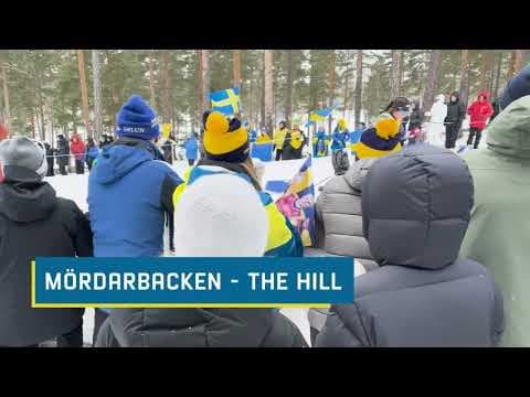 FIS World Cup Svenska Skidspelen 2025 - Mördarbacken